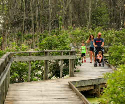 Family walking along wooden path through trees