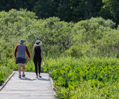 a couple walks along the boardwalk at punderson